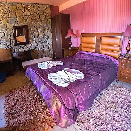 Silva Hotel 3*